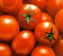 tomato.JPG (7384 bytes)